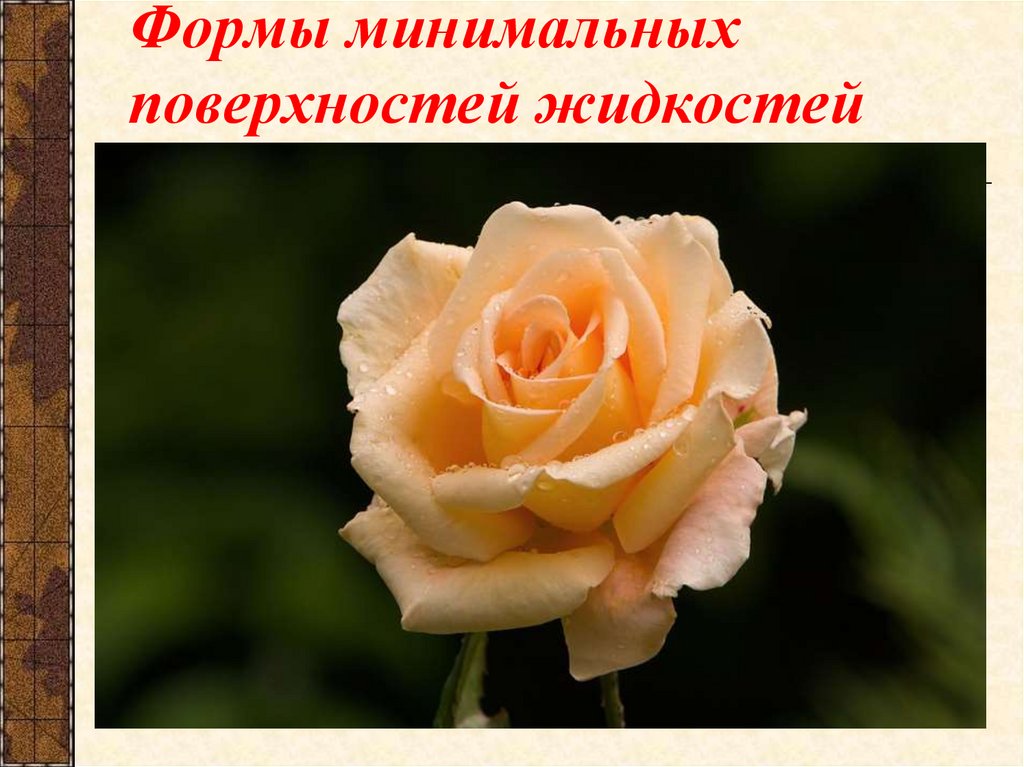 Формы минимальных поверхностей жидкостей