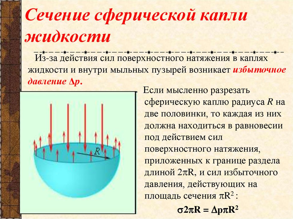 Сечение сферической капли жидкости