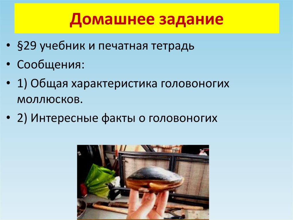 Домашнее задание