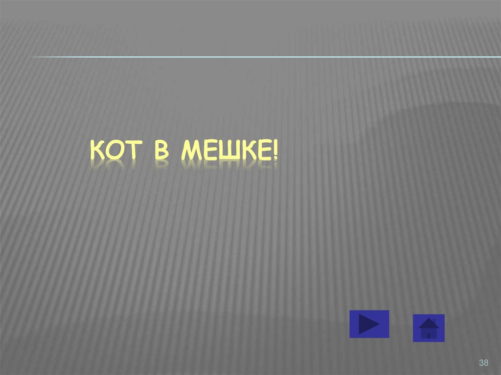 Кот в мешке!