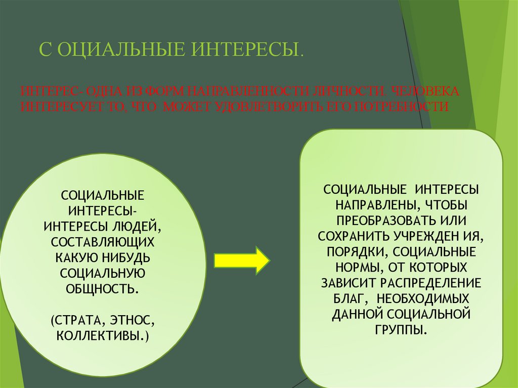 С ОЦИАЛЬНЫЕ ИНТЕРЕСЫ.