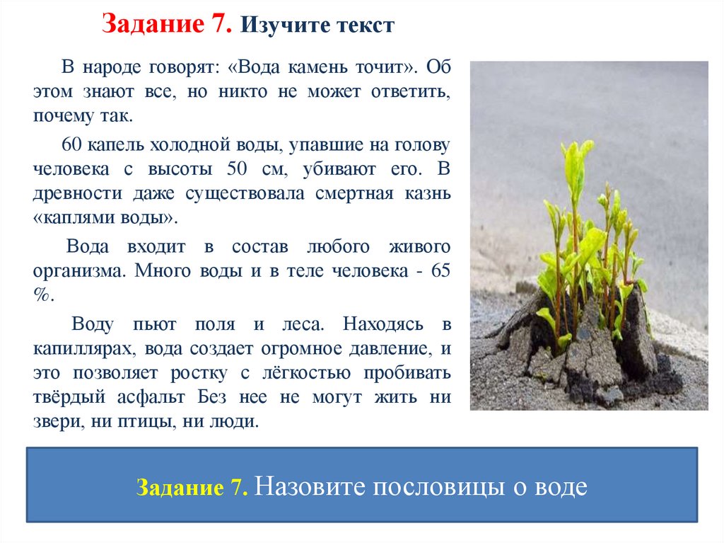 Задание 7. Изучите текст