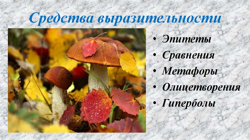 Средства выразительности