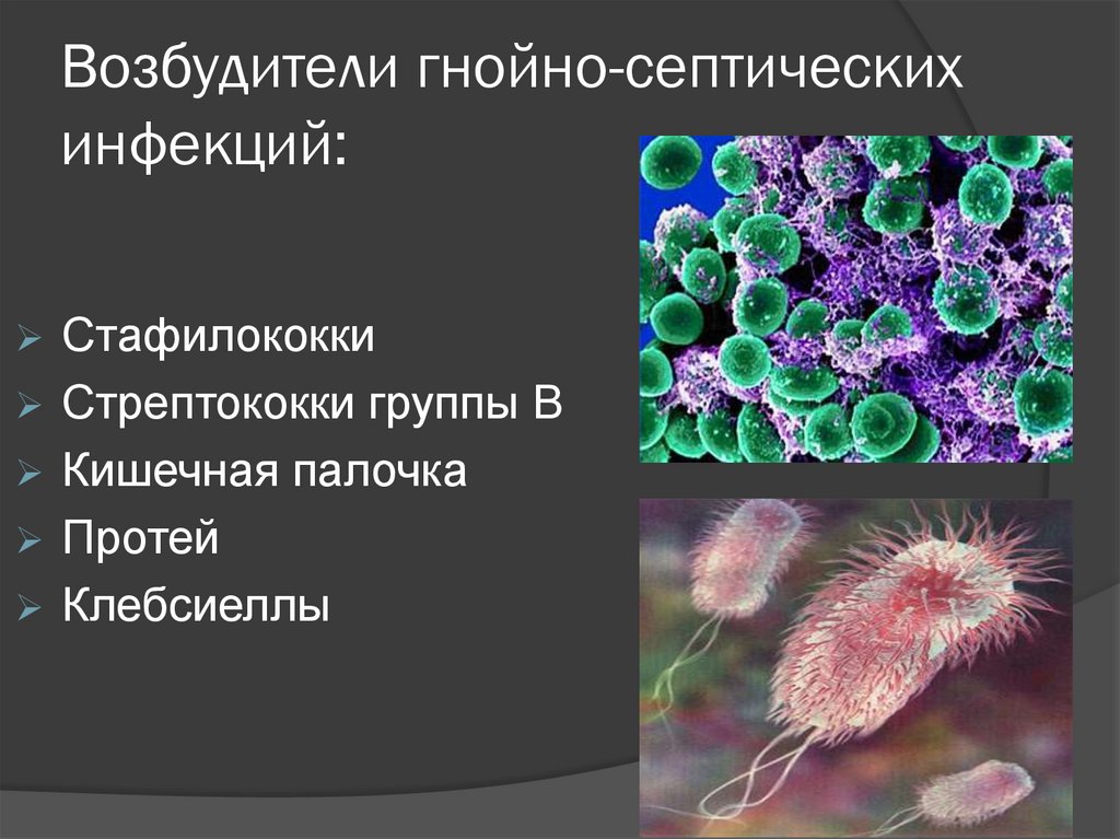 Возбудители гнойно-септических инфекций: