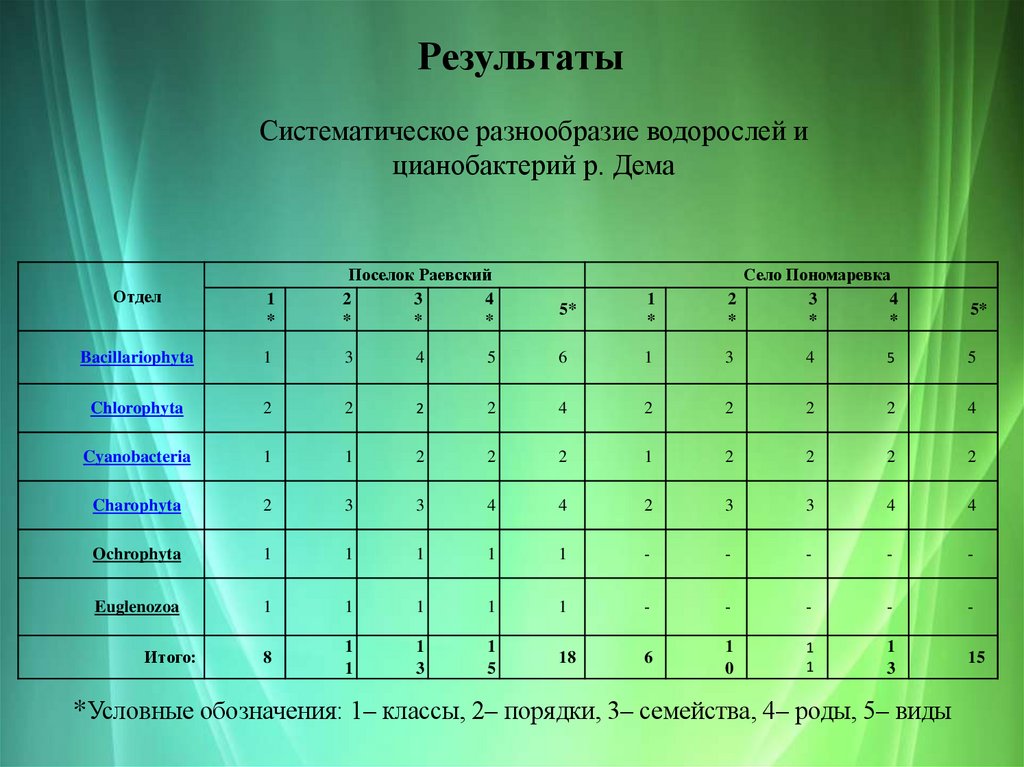 Результаты