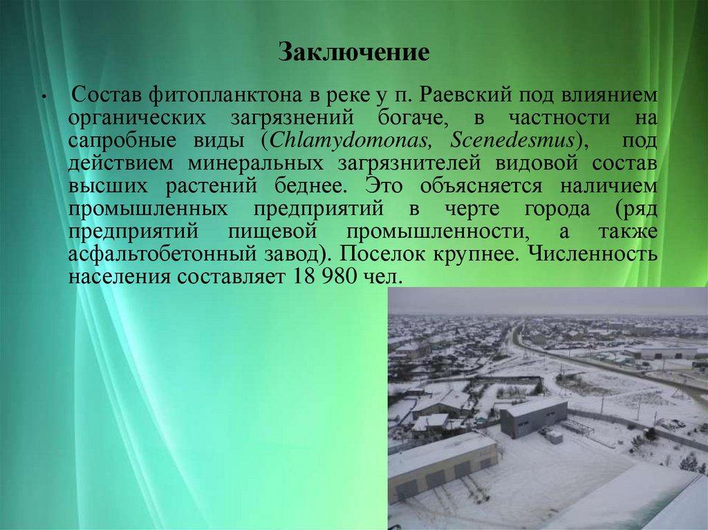 Заключение