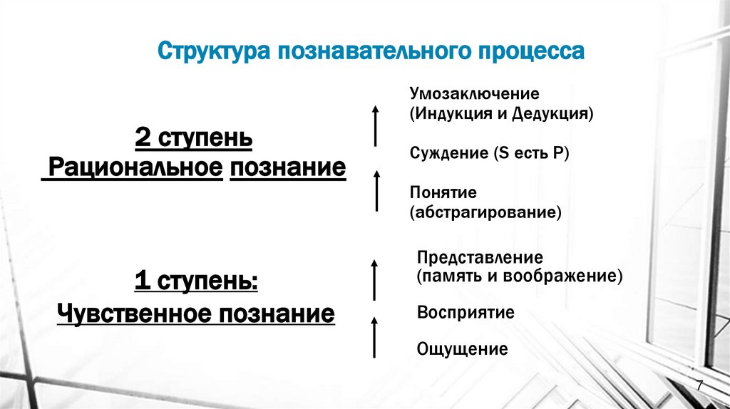 Структура познавательного процесса
