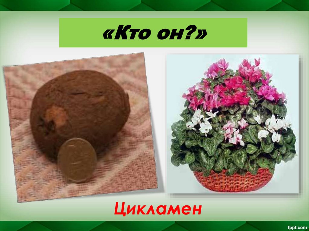 «Кто он?»