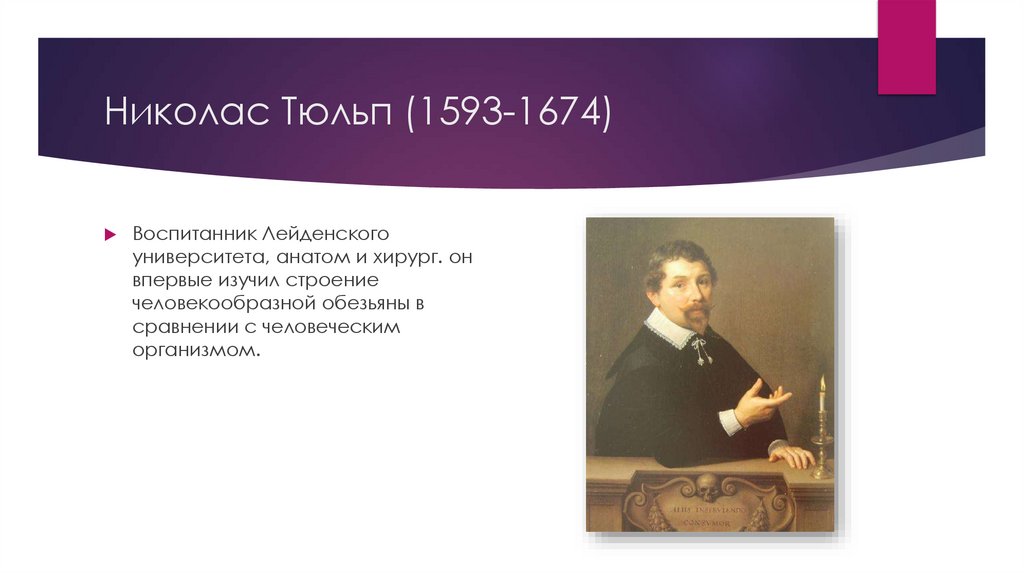 Николас Тюльп (1593-1674)