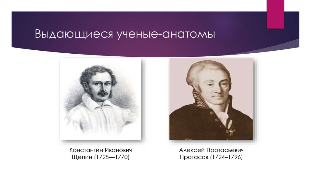  Выдающиеся ученые-анатомы