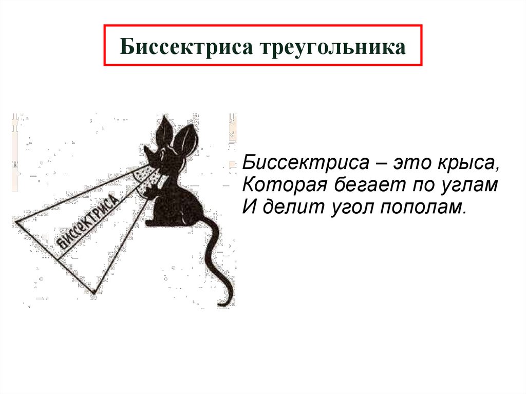 Биссектриса треугольника