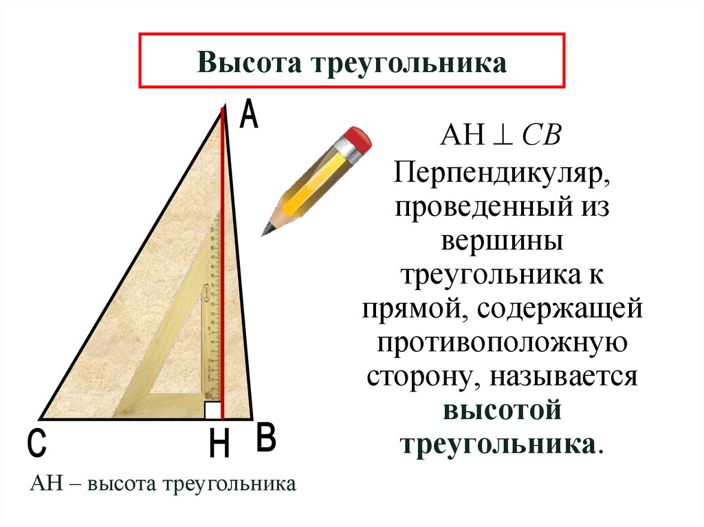 Высота треугольника