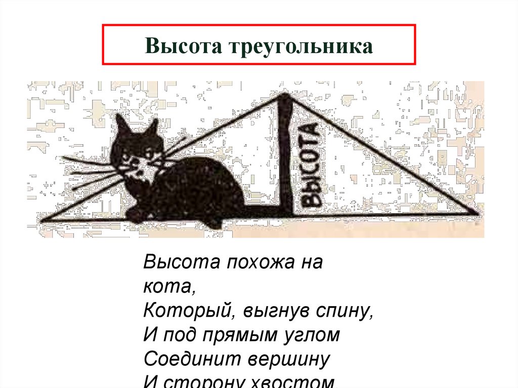 Высота треугольника