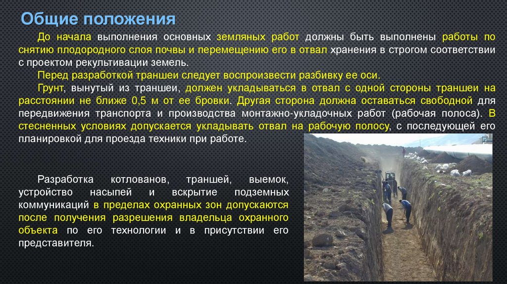 Общие положения