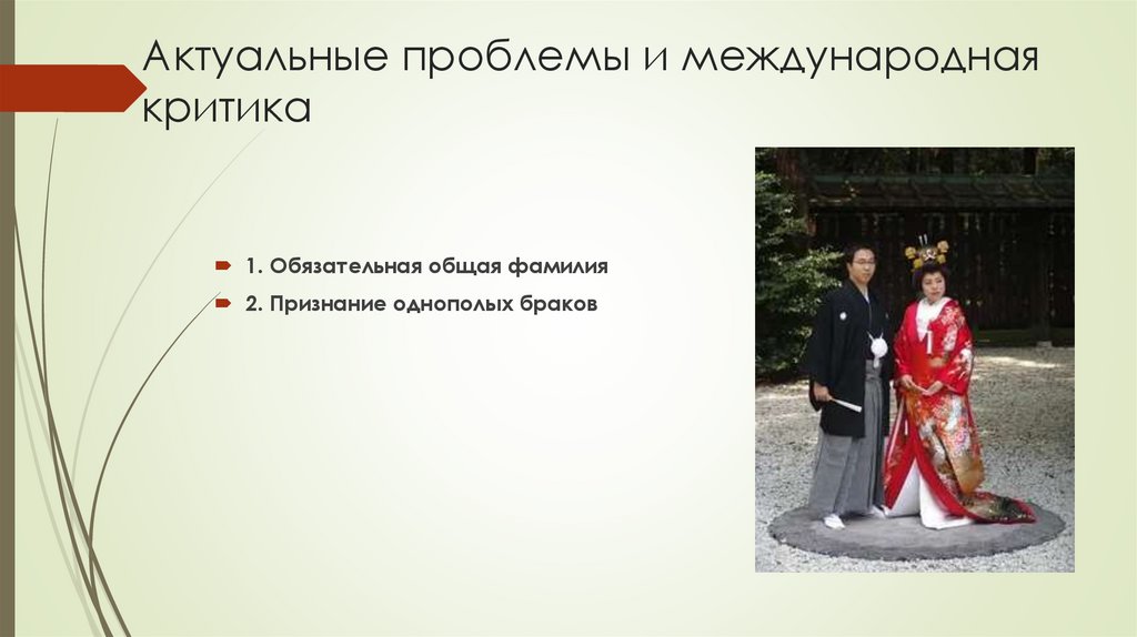 Актуальные проблемы и международная критика