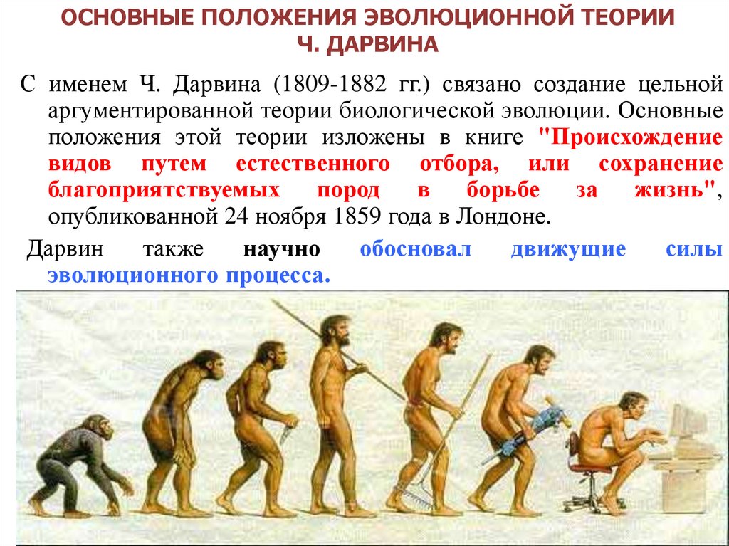 ОСНОВНЫЕ ПОЛОЖЕНИЯ ЭВОЛЮЦИОННОЙ ТЕОРИИ Ч. ДАРВИНА