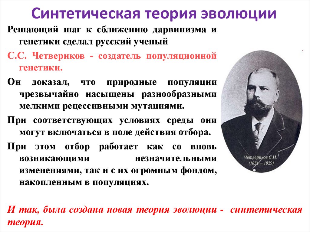 Синтетическая теория эволюции