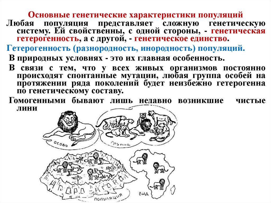 Основные генетические характеристики популяций