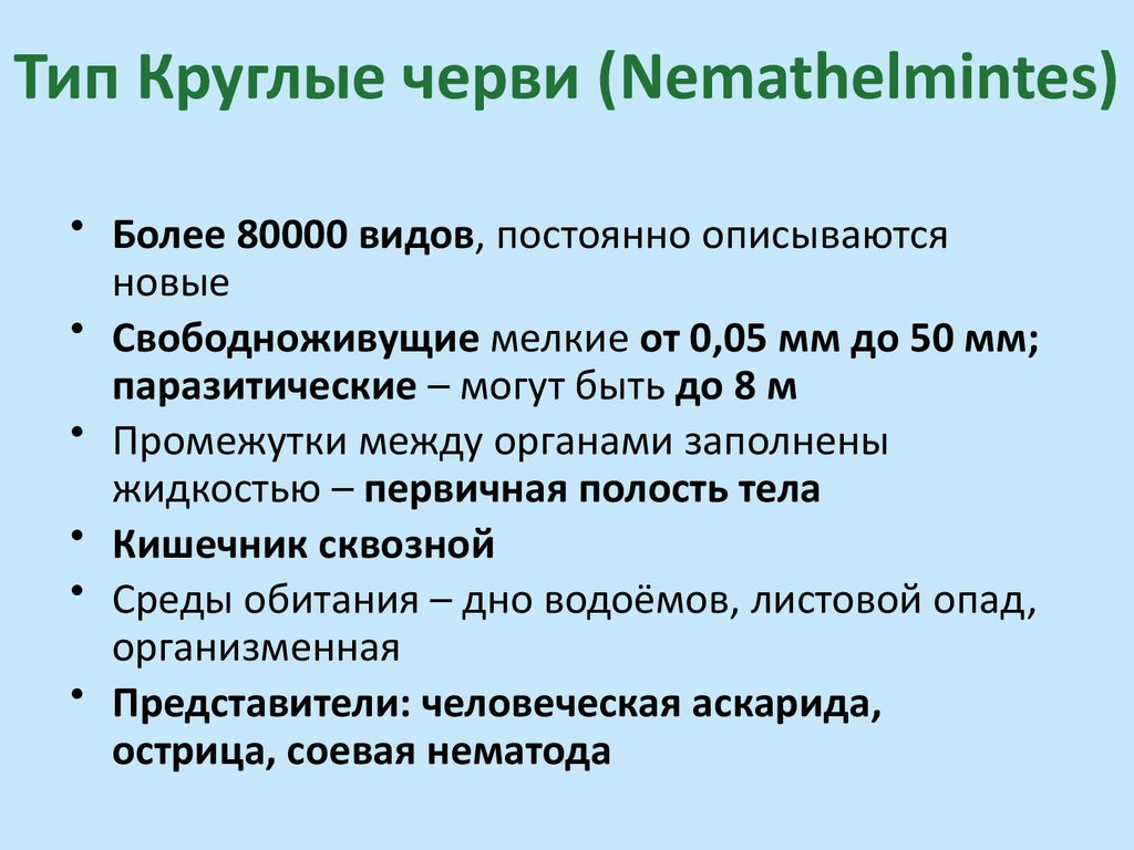 Тип Круглые черви (Nemathelmintes)