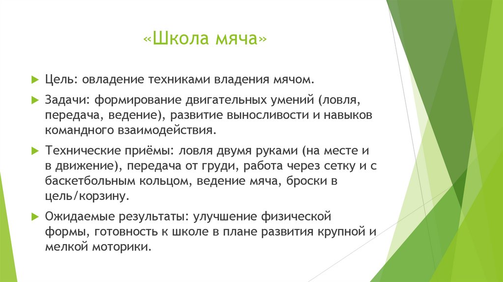 «Школа мяча»