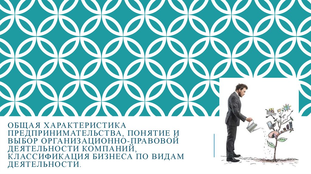 Общая характеристика предпринимательства, понятие и выбор организационно-правовой деятельности компаний, классификация бизнеса