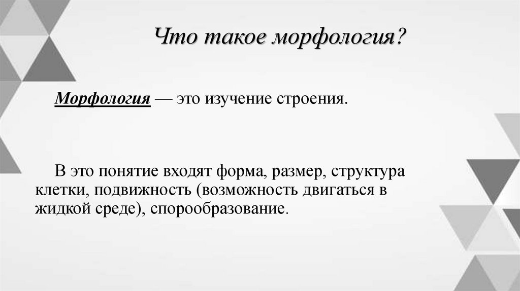 Что такое морфология?