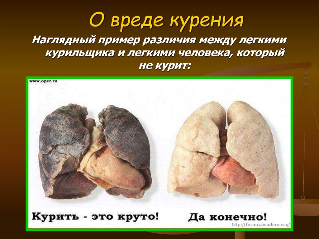 О вреде курения