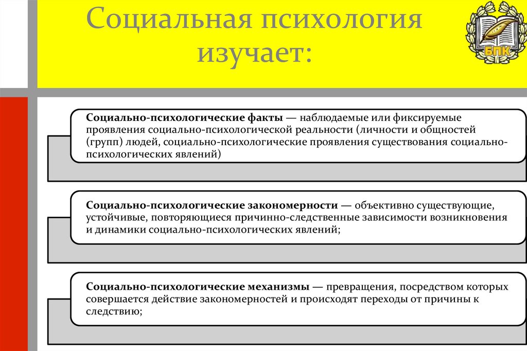 Социальная психология изучает: