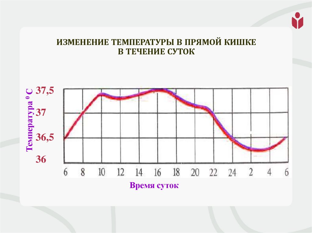 Изменение температуры в прямой кишке в течение суток