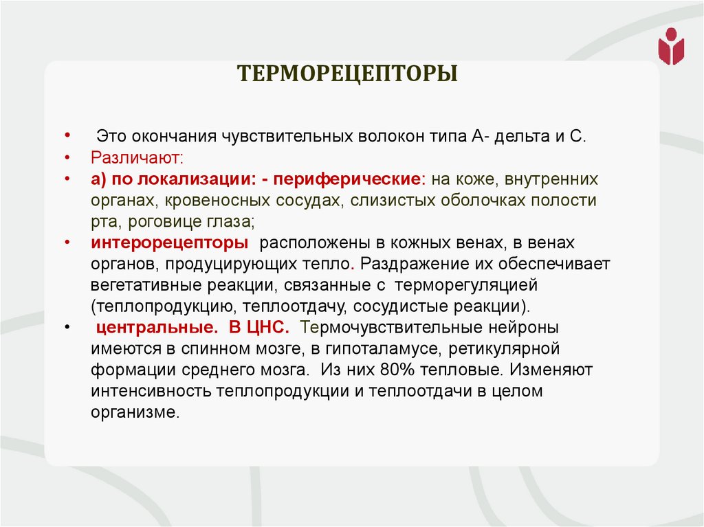 Терморецепторы