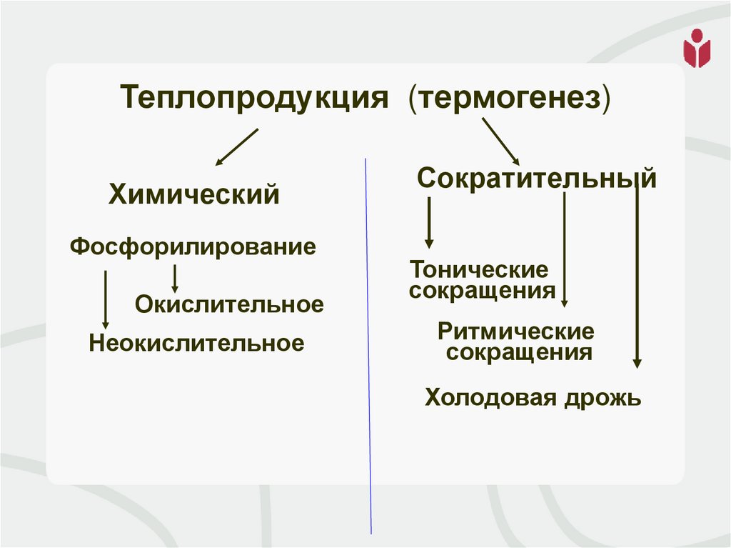 Теплопродукция (термогенез)