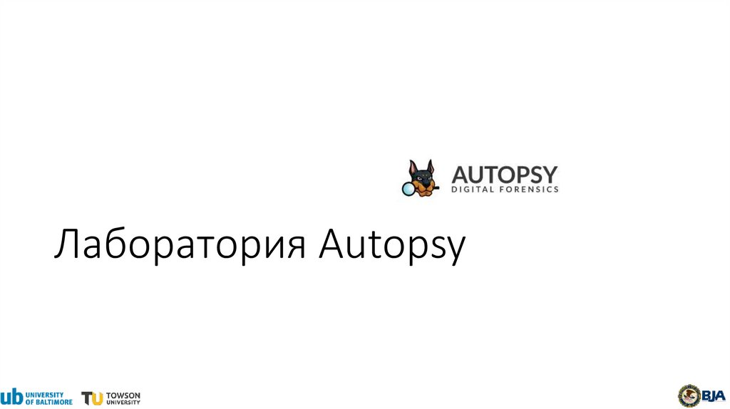 Лаборатория Autopsy