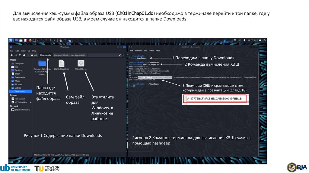 Для вычисления хэш-суммы файла образа USB (Ch01InChap01.dd) необходимо в терминале перейти к той папке, где у вас находится
