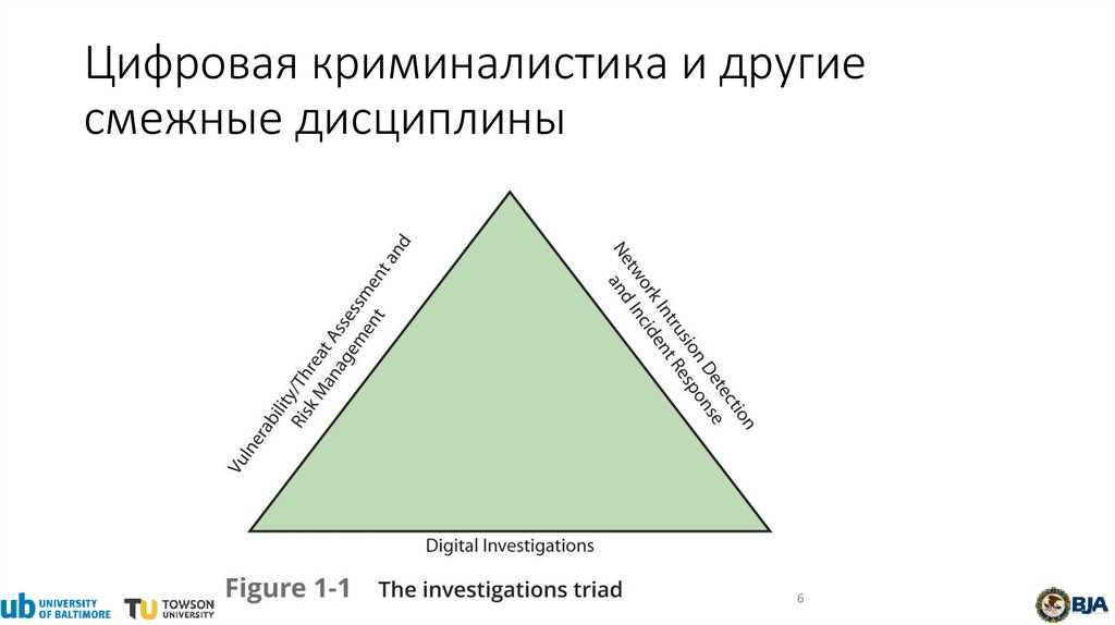 Цифровая криминалистика и другие смежные дисциплины
