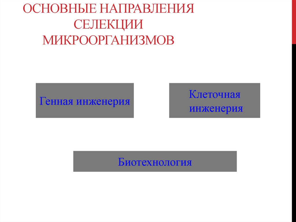 Основные направления селекции микроорганизмов