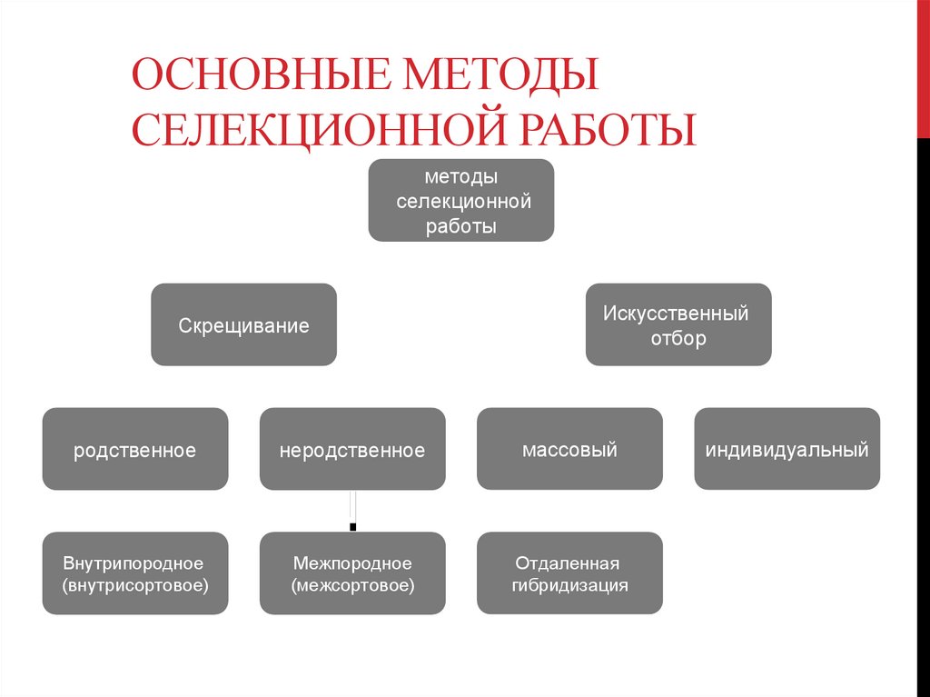 Основные методы селекционной работы