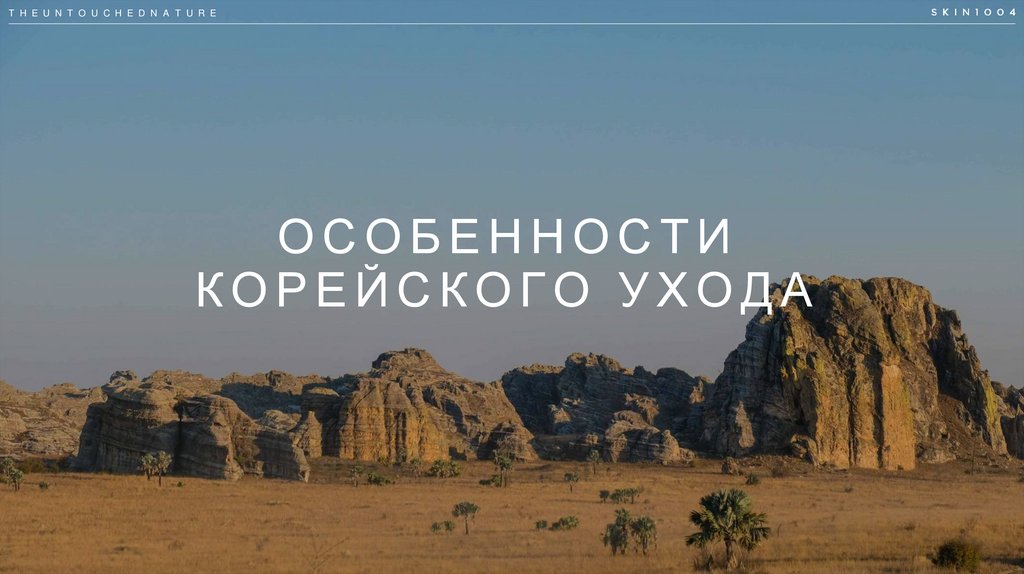 ОСОБЕННОСТИ КОРЕЙСКОГО УХОДА