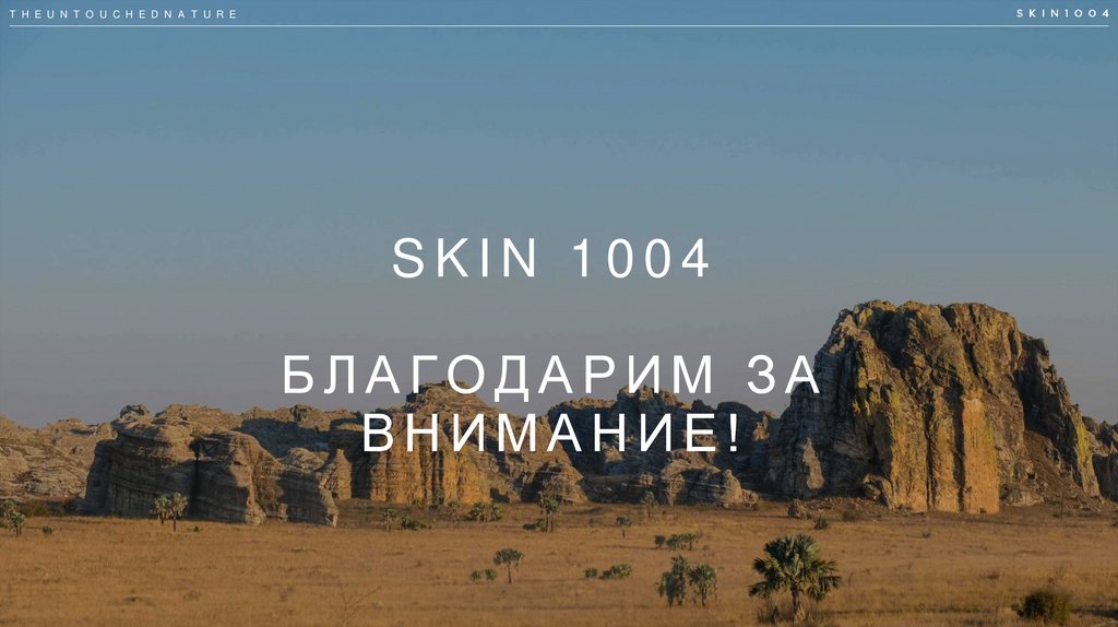 SKIN 1004 БЛАГОДАРИМ ЗА ВНИМАНИЕ!