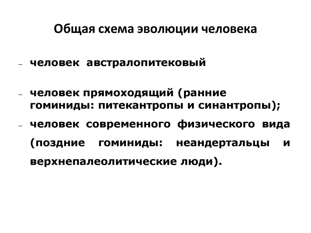 Общая схема эволюции человека