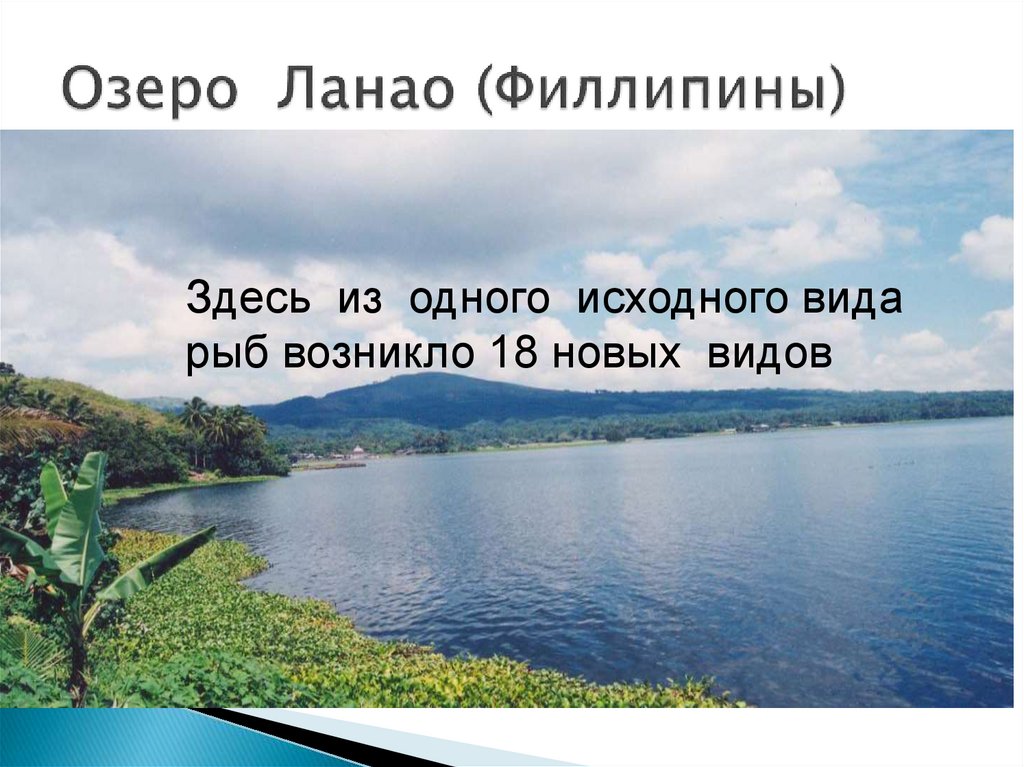 Озеро Ланао (Филлипины)