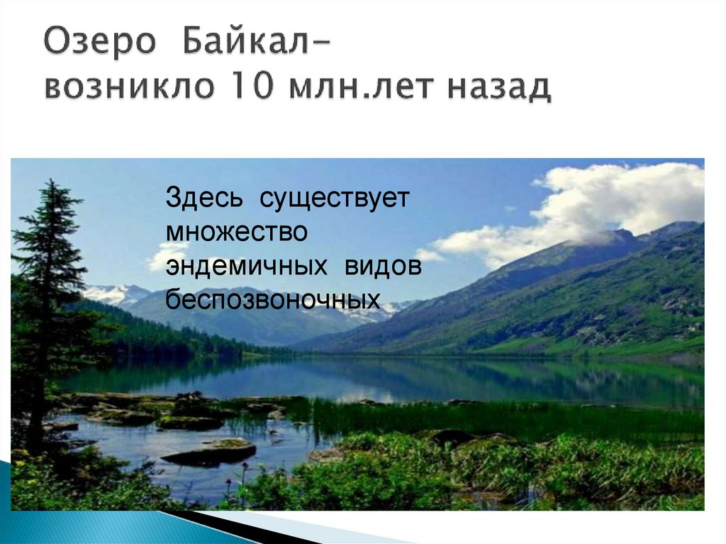 Озеро Байкал- возникло 10 млн.лет назад