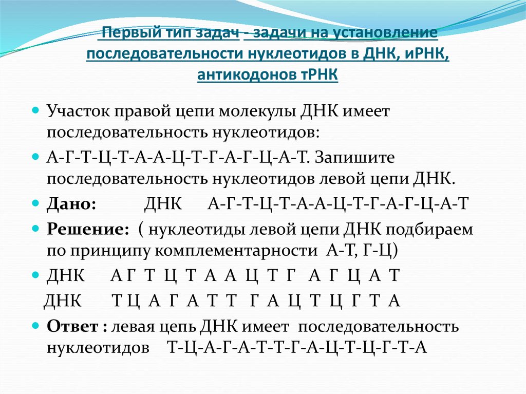 Первый тип задач - задачи на установление последовательности нуклеотидов в ДНК, иРНК, антикодонов тРНК