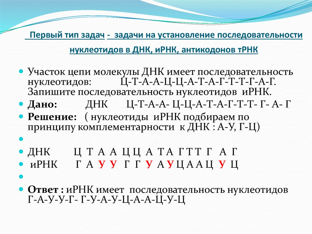 Первый тип задач - задачи на установление последовательности нуклеотидов в ДНК, иРНК, антикодонов тРНК