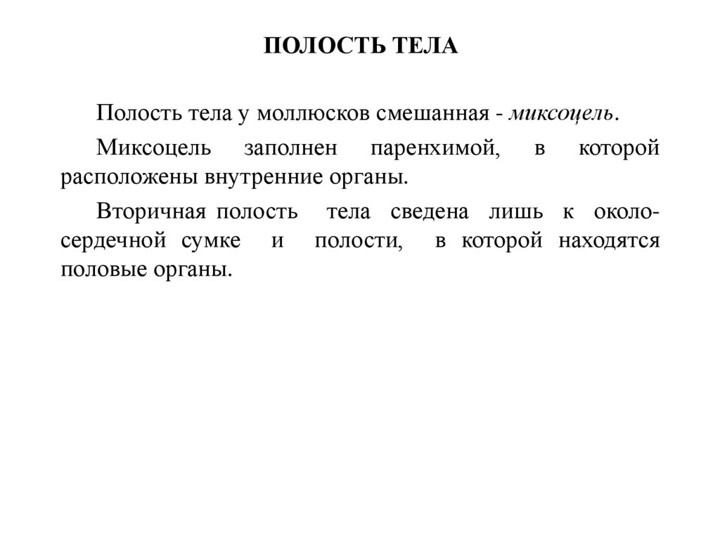 ПОКРОВЫ ТЕЛА И МУСКУЛАТУРА МОЛЛЮСКОВ