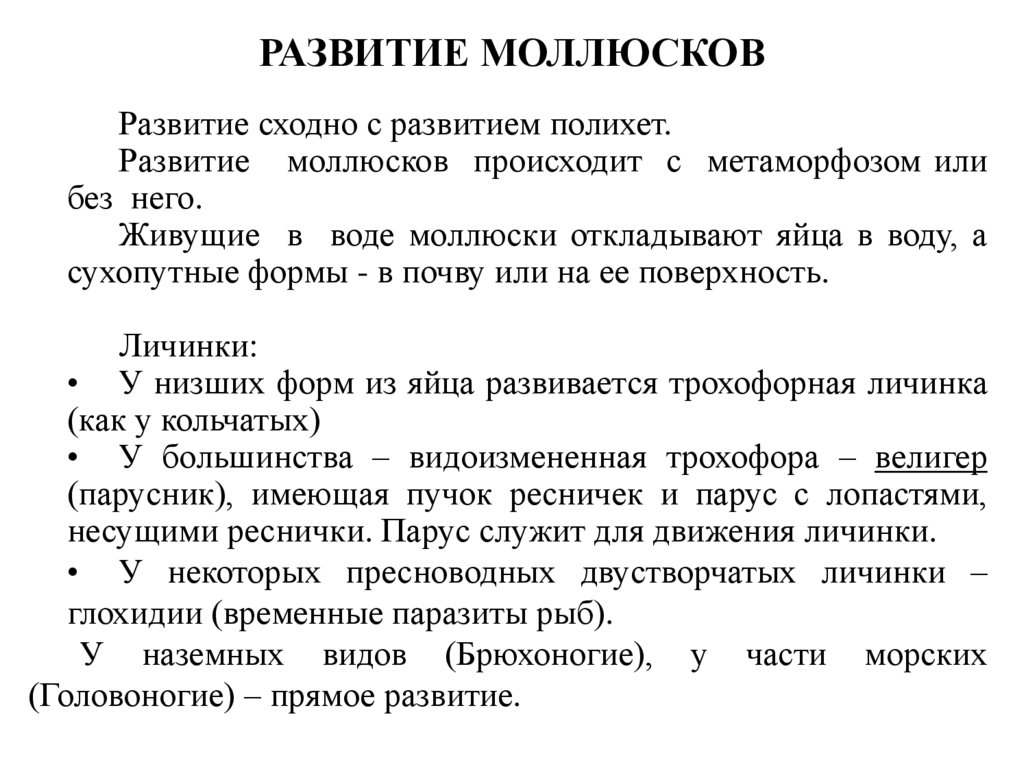 ЛИЧИНКИ МОЛЛЮСКОВ