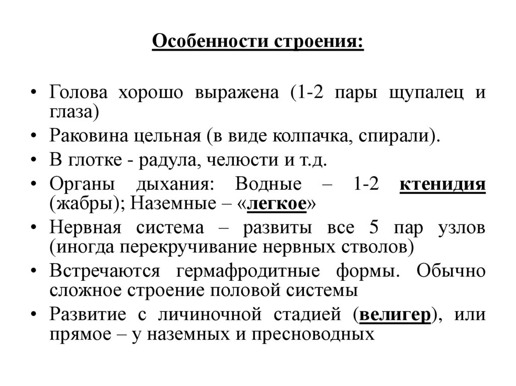 Класс Брюхоногие – наиболее многочисленный класс водных и наземных моллюсков.