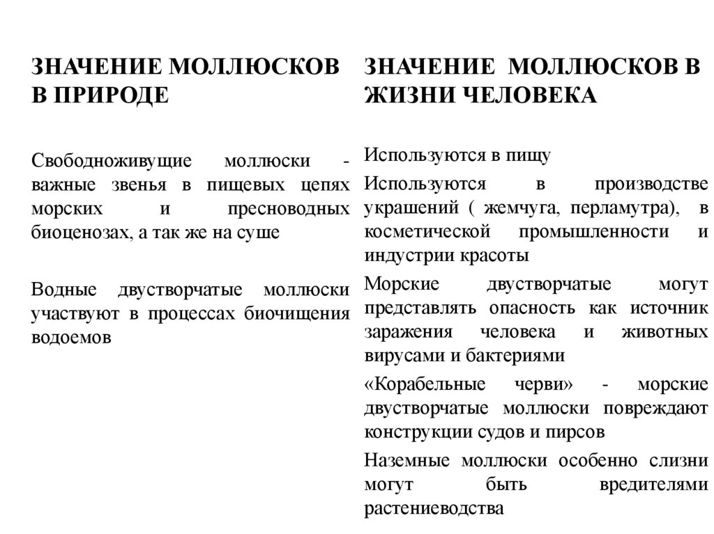Значение головоногих для человека