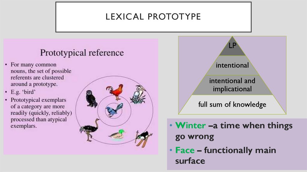 Lexical Prototype