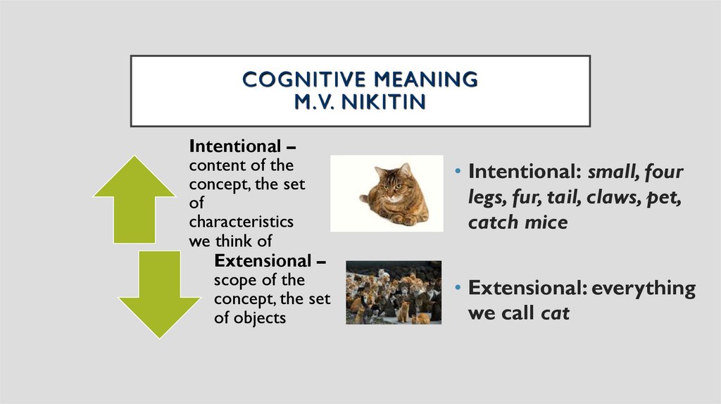 Cognitive Meaning M.V. Nikitin