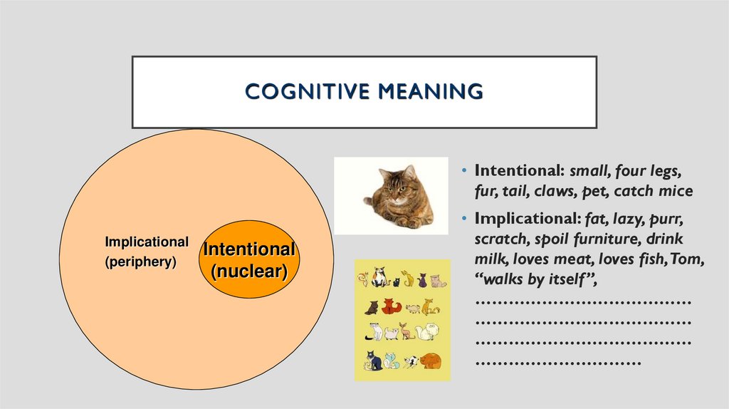Cognitive Meaning